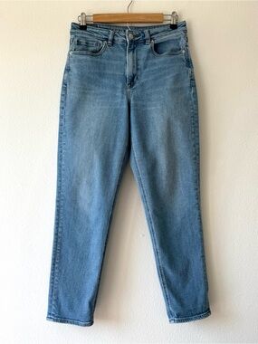 American Eagle Mom Jeans High Rise